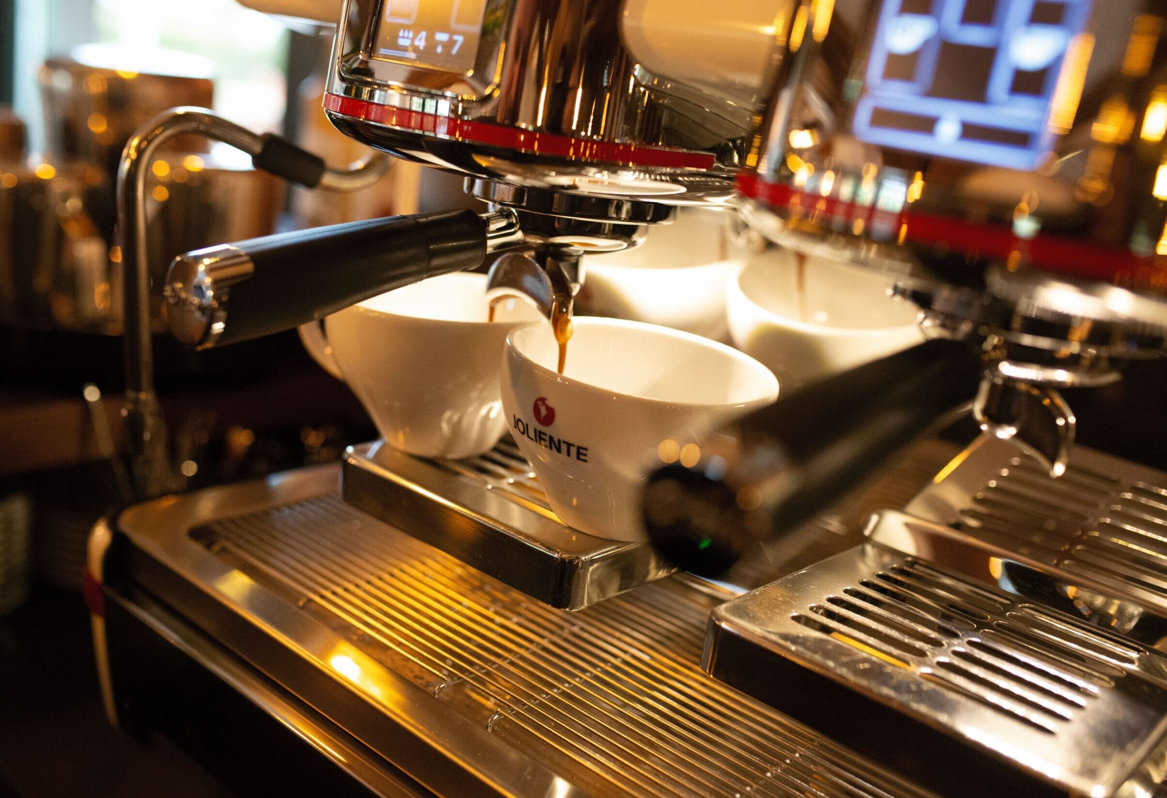 Restaurant Die Mühle am Glockensee in Bad Laer